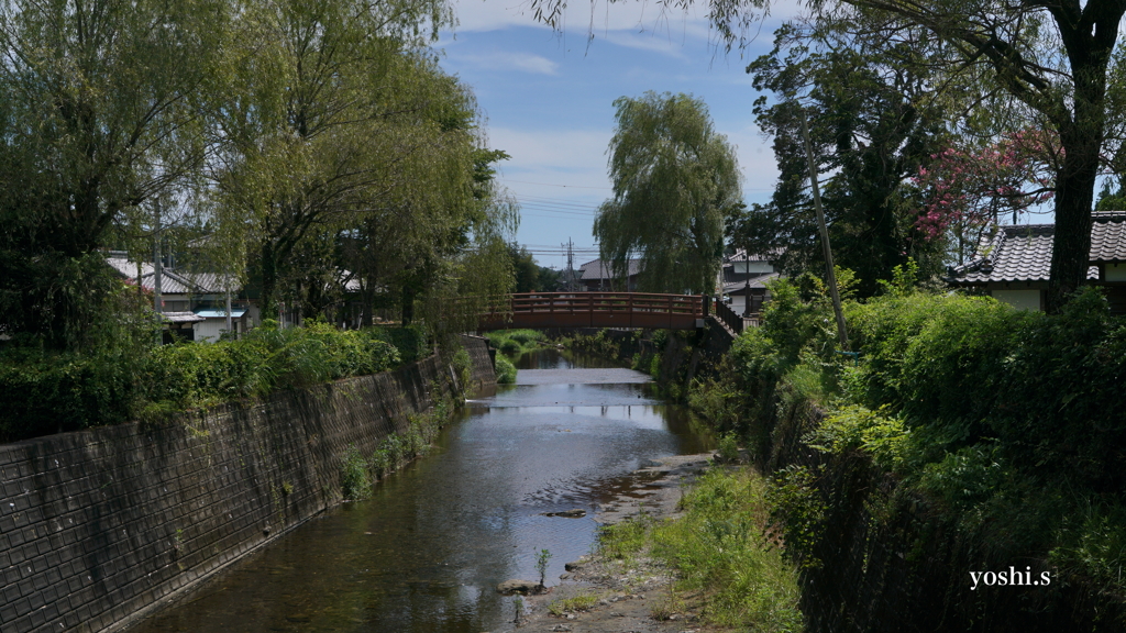 写真エッセイ：墓掃除の帰り道：NTW374