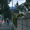 写真句：夕間近