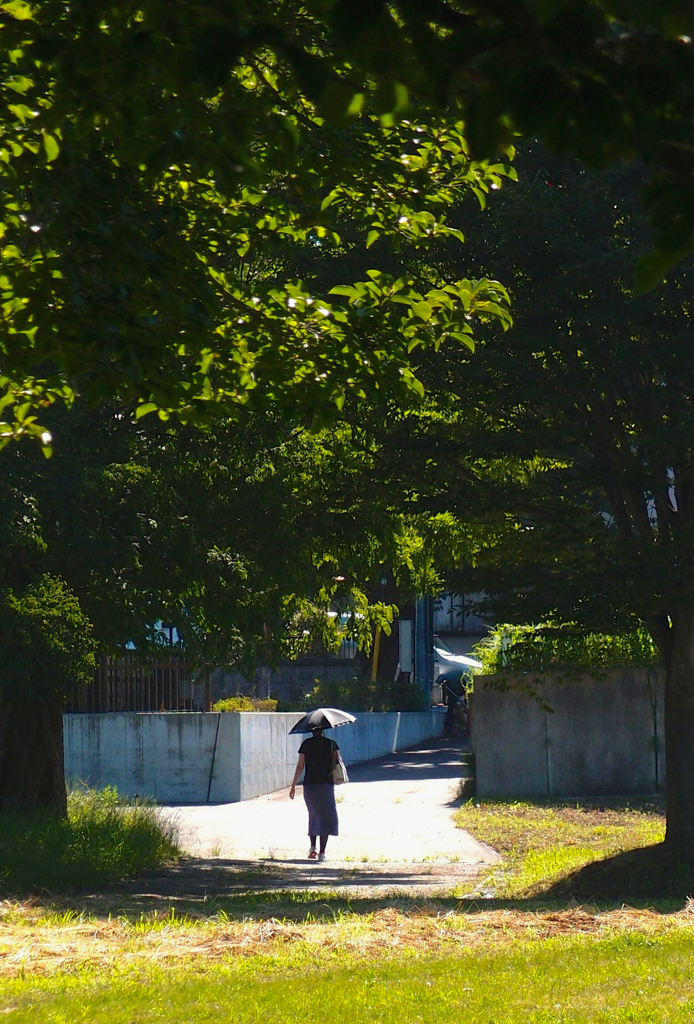 夏を行く