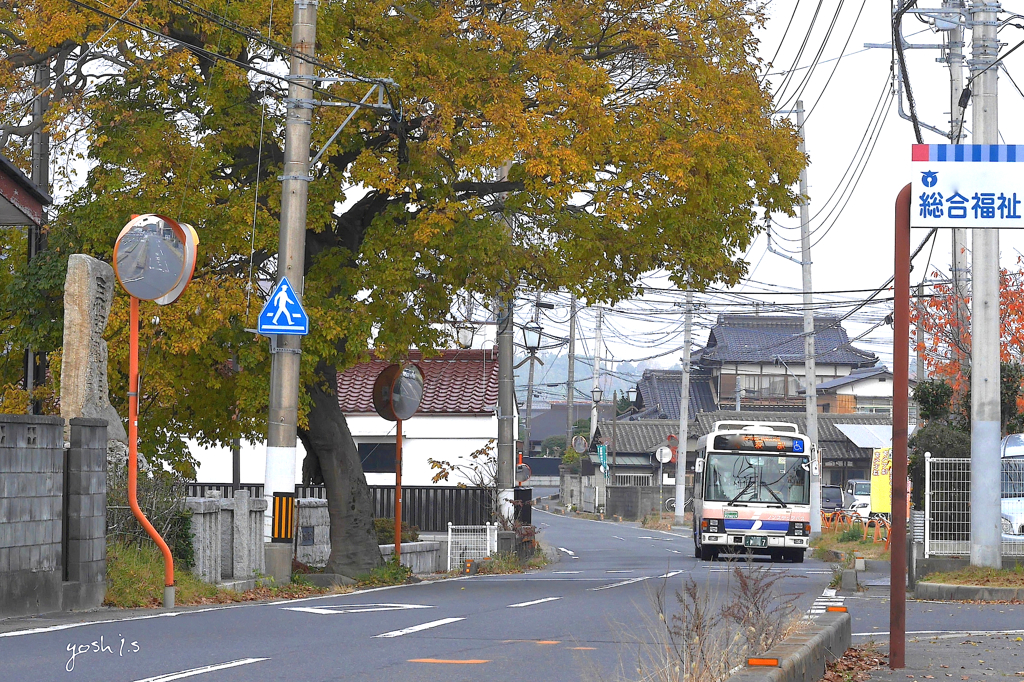 写真エッセイ：バス、浜街道をゆく：NTW152