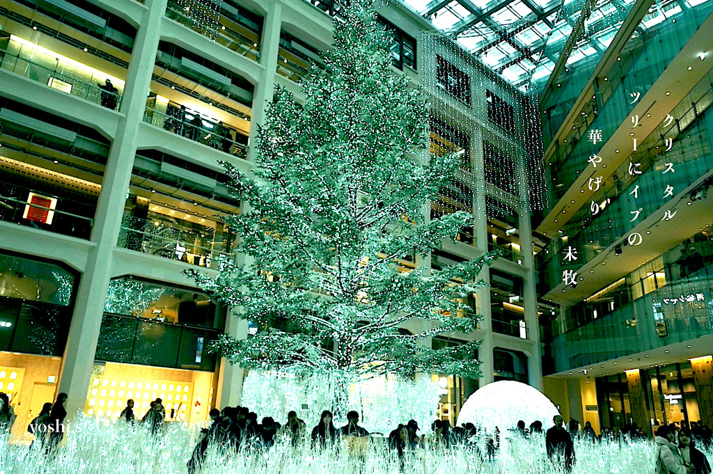 クリスタル・ツリー ＠ KITTE