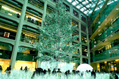 クリスタル・ツリー ＠ KITTE