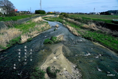 写真句：帰り道３：花貫川２：投稿4,800枚目