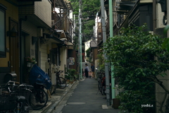 写真エッセイ：谷根千ウォーク25：路地