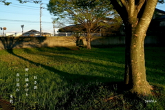 写真句：春日暮れ２