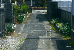 写真句：春を送る