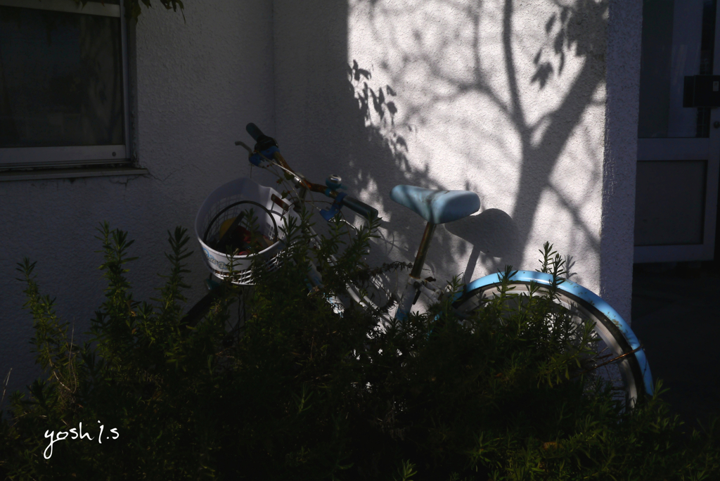 写真エッセイ：遠い日の自転車