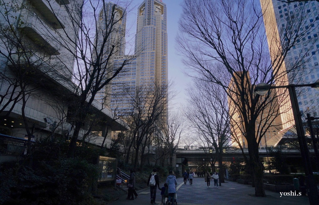 写真エッセイ：東京散歩27：東京都庁１