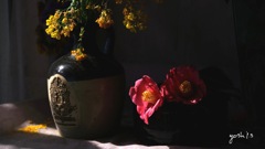 写真句：春の花たち12 ：玄関の花