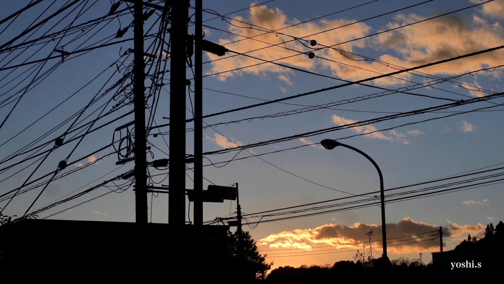 写真エッセイ：見えないものの通り道