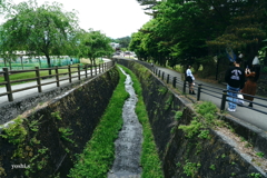 写真エッセイ：冠雪の富士 Photo Trip28：根場17：下流
