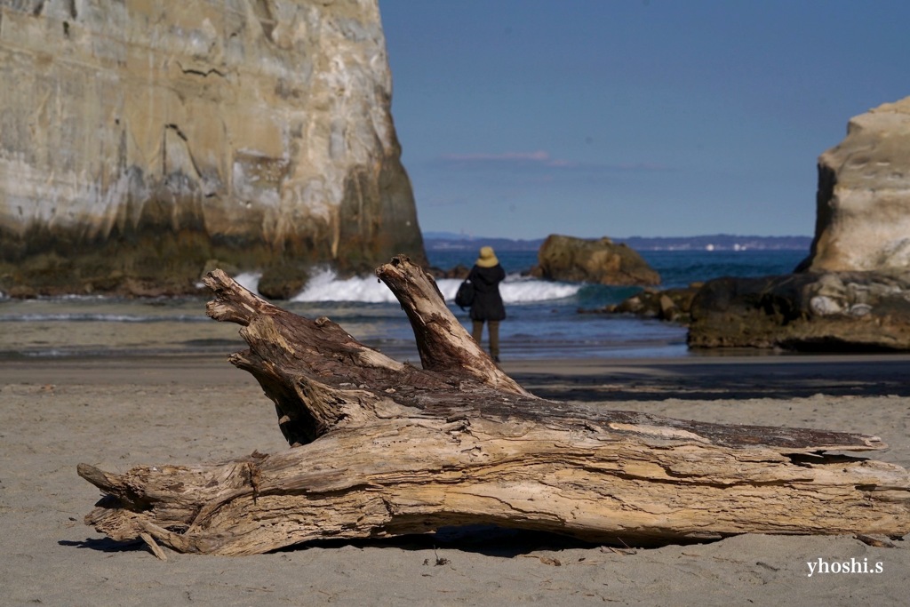 写真指編：Beatles 題名もじり２：She loves the sea