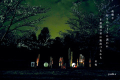 写真歌：さくら宇宙公園さくら祭り15：Light up７