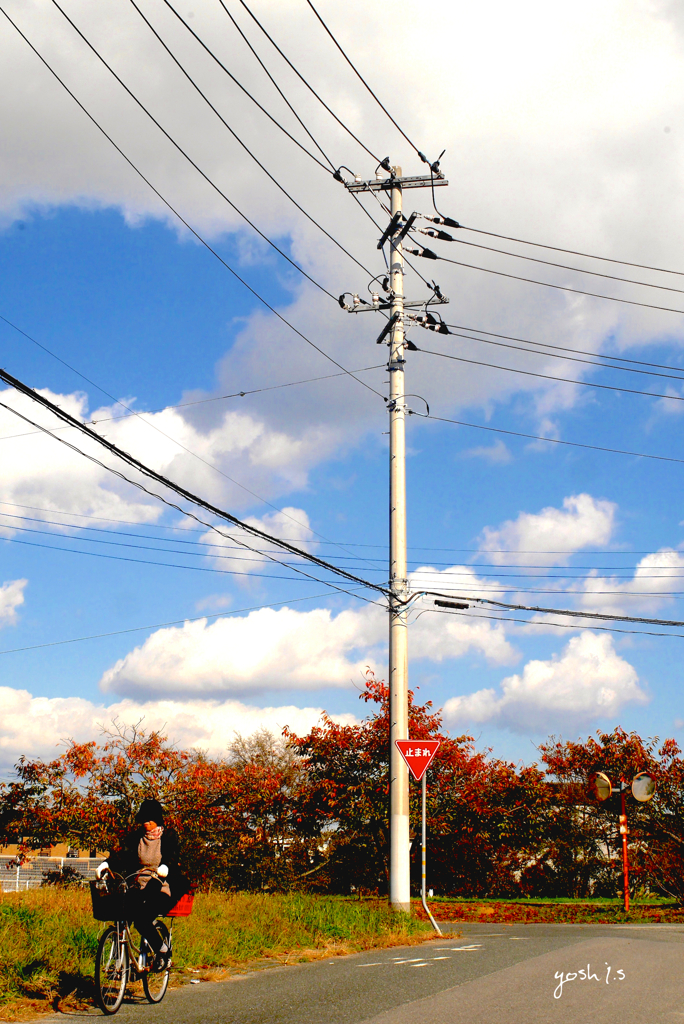 写真句：空高し２