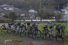 写真歌：自転車の群れ or 人の群れ？：NTW221