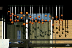 写真エッセイ：吊るし柿