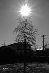 Famous Title 特集１：The Sun also rises：B&W