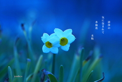 写真句：清浄の気