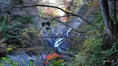 写真エッセイ：袋田の秋９：滝と吊り橋と紅葉と ３