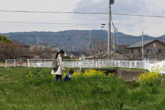 写真句：菜の花摘み