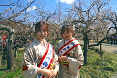 写真エッセイ：写真句：偕楽園散歩20：梅娘