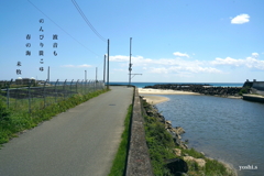 写真句：海へ３：見えた！：NTW621