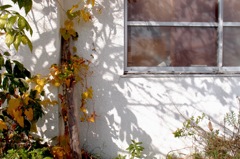 窓の秋