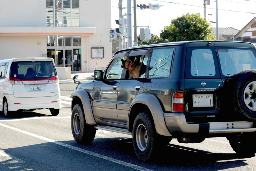 おやじっ！　前の車を追ってくれ！!