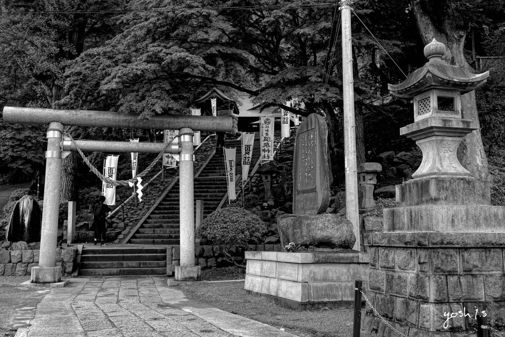 写真エッセイ：温泉神社２：神域：B&W