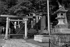 写真エッセイ：温泉神社２：神域：B&W