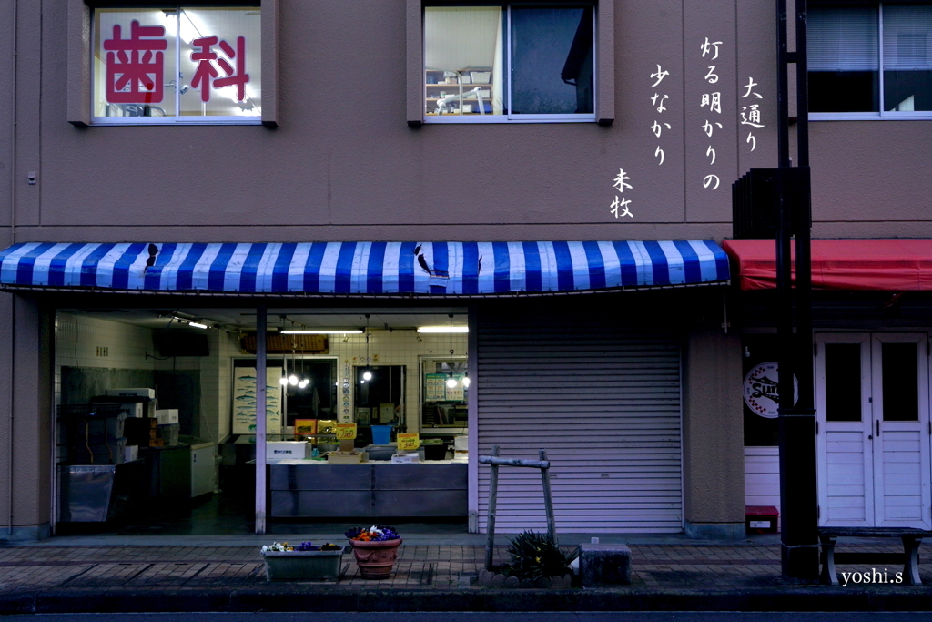 写真句：火灯しごろ：NTW501