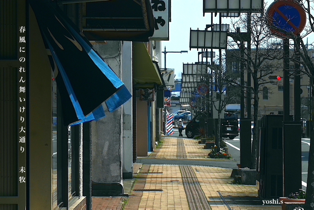 写真句：駅前通り：NTW591