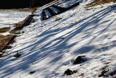 写真句：なごり雪