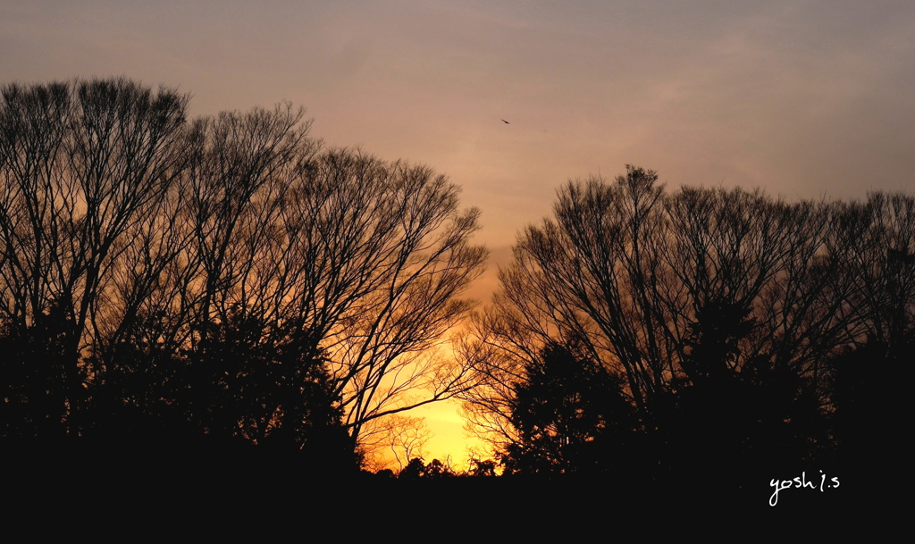 写真三行詩：The sunset