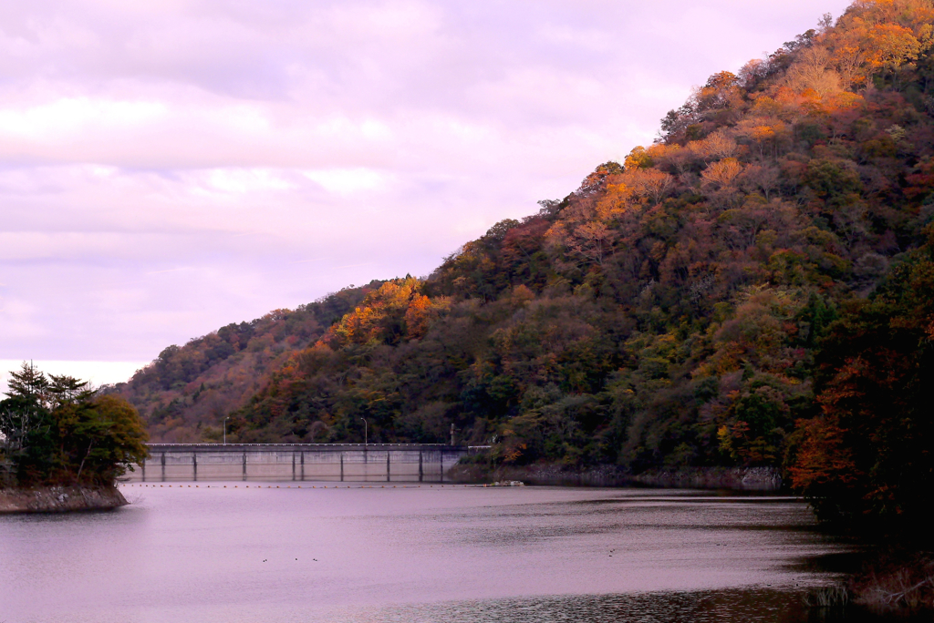 花貫紅葉５：ダム湖の彩