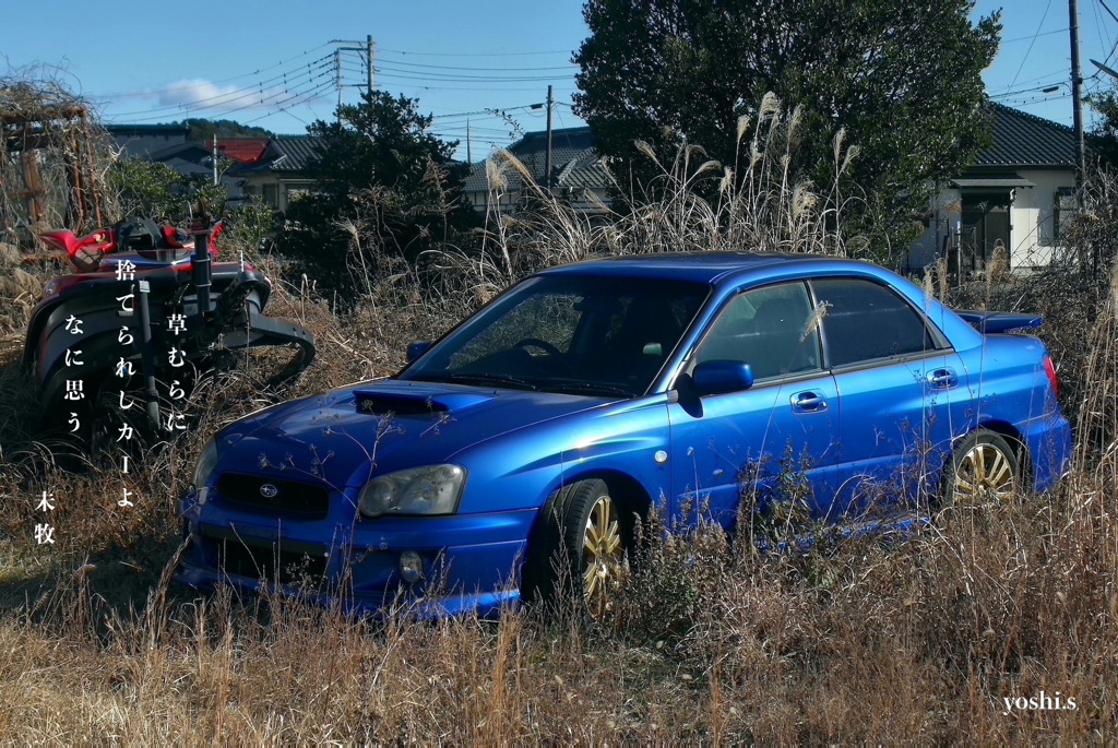 写真句：Blue car in the grass