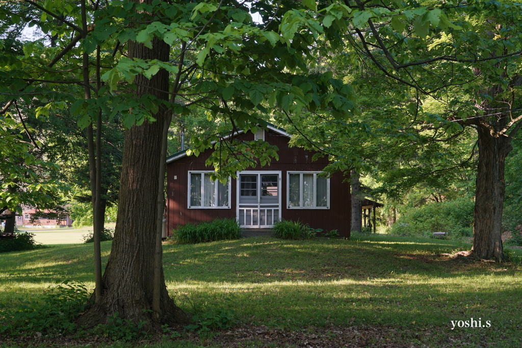 アメリカ見たまま記16：森の中の小屋