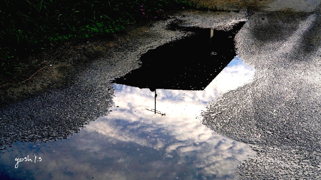写真エッセイ：雨が上がった