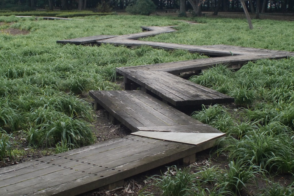 曲がりくねった道