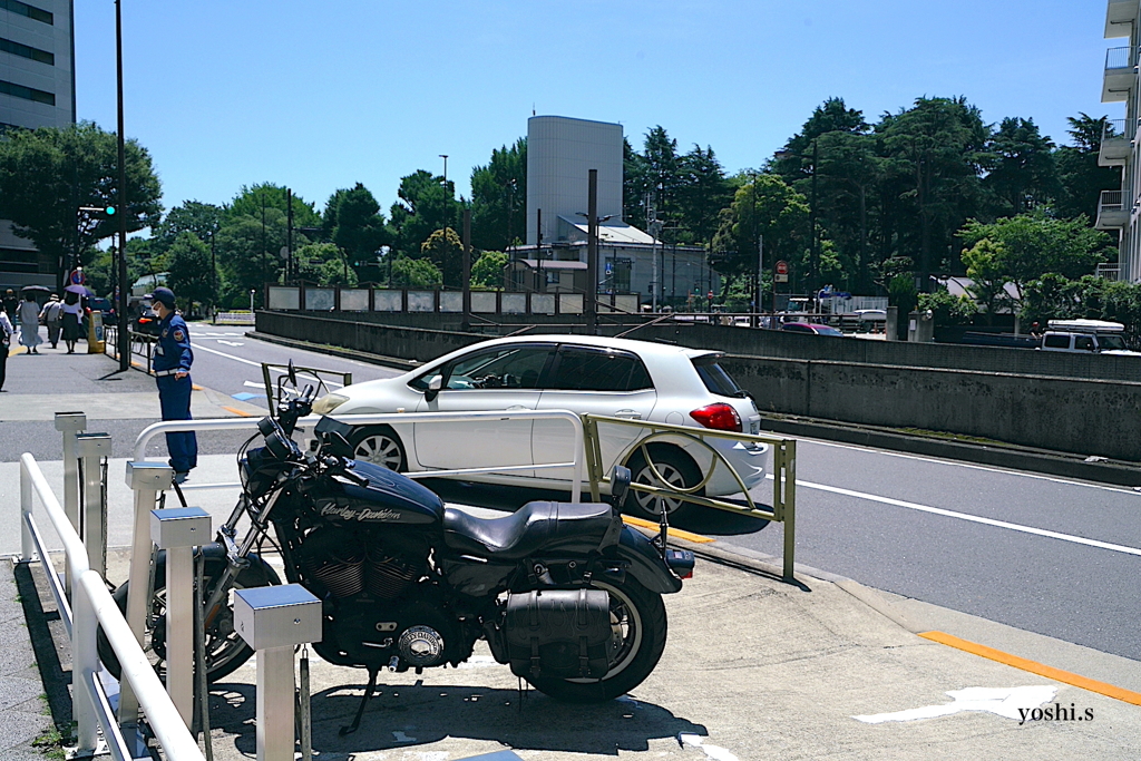 写真エッセイ：新宿散歩５：甲州街道沿い３：ハーレー