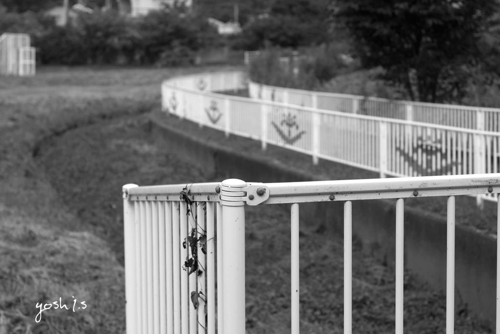 写真エッセイ：B&W1 散歩道１