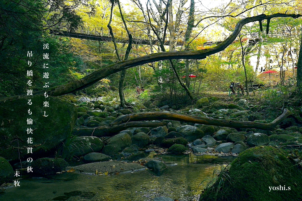 写真歌：花貫渓谷紅葉狩り2025：吊り橋のある渓流２