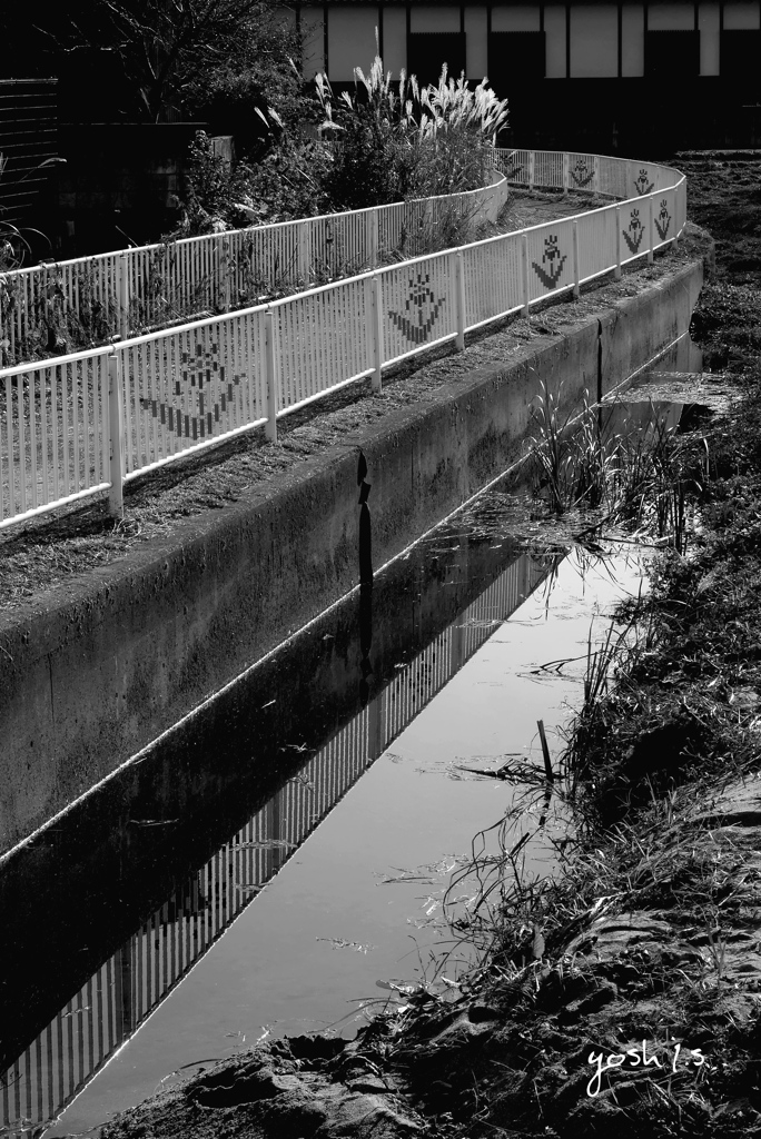 写真エッセイ：散歩の小径：B&W22