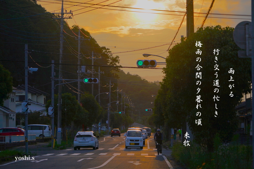 写真歌：夕暮れの道：NTW433