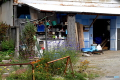 Nostalgic Town Walk13：花のあるキッチン