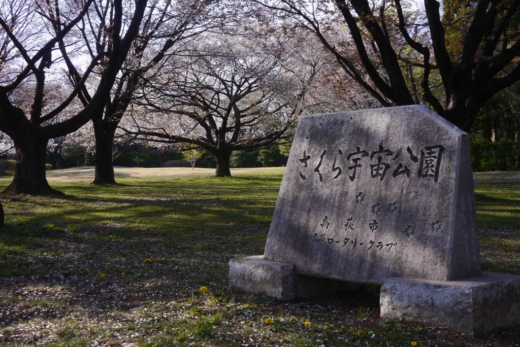 写真エッセイ：さくら公園すっ飛び行脚２