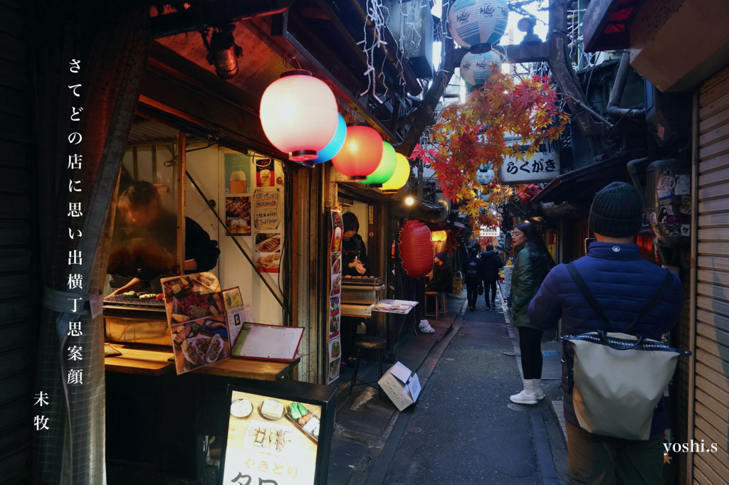 写真句：新宿７：思い出横丁６