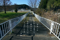 写真歌：ひとすじの道