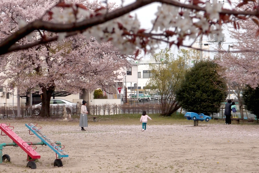公園の午後