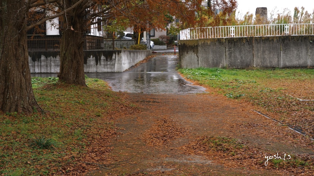 写真句：冬の雨そぼ降る：NTW259
